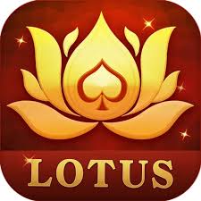 teen patti new update download